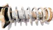 Fahrwerksfeder Hinterachse Audi 100, C3 1982.07 - 1991.01 Gebraucht,
