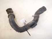 Kühlerschlauch Volkswagen Passat, B5+ 2000.11 - 2005.05 8d0121101ad, AUF