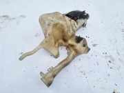 Scheibenwaschbehälter Vorne Wischwasserbehälter Volvo V40, I 1995.07 - 2000.07 30855249, 30855250