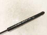 Gasdruckfeder Kofferraum Fiat Bravo, 1995.10 - 2001.10 7774707UME6, 7774707 5192DM0320N