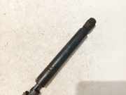 Gasfeder für Motorhaube Opel Vectra, B 2000.09 - 2002.04 facelift 904637210512, 0065EE0850N