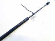 Gasdruckfeder Kofferraum Skoda Octavia, II 2004.02 - 2009.03 1z9827550,