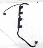 Kabelbaum Ford Fusion, 2002.08 - 2009.12 98ag14a390lb, 98ag14a390lb