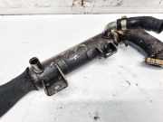 Abgaskühler AGR-Kühler Opel Vectra, C 2002.04 - 2005.10 55210701,