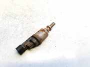 Einspritzleiste Gasanlage Ford Transit, III 2000.01 - 2006.04 67r010223, 09sq99020002g