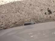 Lang Heckklappe Scharniere Scharnier Links Ford Focus, 2011.04 - 2018 Gebraucht,