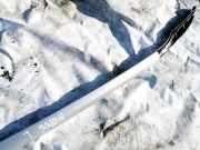 Dachreling Linke Ford Kuga, I 2008.01 - 2012.06 Gebraucht ,