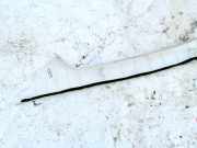 Innenausstattung Toyota Corolla Verso, III 2004.05 - 2007 622110f010, 62211-0f010 62211-0f020