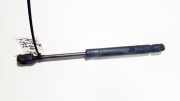 Gasdruckfeder Kofferraum Volkswagen Passat, B5 1996.08 - 2000.11 8d5827552c,