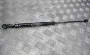 Gasdruckfeder Kofferraum Fiat Stilo, 2001.10 - 2007.01 46784590,