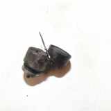 Spannrolle Renault Megane, III 2008.11 - 2012.06 8200608550,