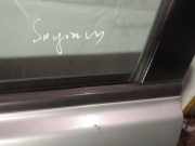 Zierleiste Leiste - Vorne Linke SsangYong Kyron, 2005.05 - 2010.01 Gebraucht,