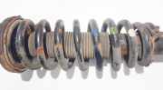 Fahrwerksfeder vorne Honda Accord, 2003.02 - 2005.09 Gebraucht,