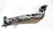 Rohrleitung AGR-Ventil Nissan Almera Tino 2000.08 - 2003.09 Gebraucht,