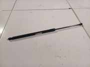 Gasfeder für Motorhaube BMW 3-Series, E46 2002.06 - 2005.02 facelift Gebraucht,