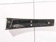 Schutzleiste Tür - Vorne Linke Renault Scenic, II 2003.06 - 2006.06 8200139600,