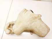 Scheibenwaschbehälter Vorne Wischwasserbehälter Jaguar X-Type, 2001.06 - 2007.11 4x4317b613aa, 4x4317b613ba