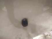 Waschwasserdüse Scheibenreinigung Mitsubishi Lancer VIII, 2007 - 2015 Gebraucht,