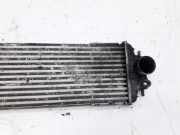 Ladeluftkühler Renault Trafic, X83 2001.03 - 2006.08 Gebraucht,