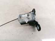 Türscharnier Hinten Renault Vel Satis, 2002.06 - 2009.12 Gebraucht,