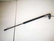 Gasdruckfeder Kofferraum Toyota Corolla Verso, II 2001.09 - 2004.05 689600w091a,68960-0w091-a