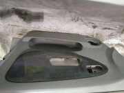 T?rverkleidung - Vorne Rechts Renault Scenic, I 1999.09 - 2003.06 facelift Gebraucht,