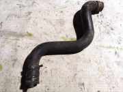 K?hlerschlauch Citroen Evasion, I 1994.01 - 2002.12 Gebraucht,