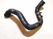 Kühlerschlauch Ford Focus, 1998.10 - 2002.10 Gebraucht ,