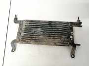 Kraftstoffkühler Kraftstoff Kühler Peugeot Partner, II 2009.06 - 2015.06 Gebraucht,