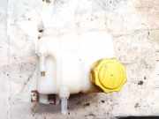 Ausgleichsbehälter Chevrolet Captiva, 2006.01 - 2011.06 96837836,