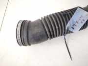 Schlauch für Luftversorgung Lancia Phedra 2002 - 2006 1488008080,