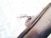 Tankeinfüllstutzen Tankrohr Kraftstoffrohr Renault Modus I 2004.01 - 2007.12 8200477047, 820019576