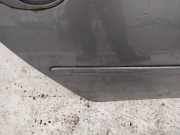 Zierleiste Tür Zier-Schutzleiste - Hinten Rechts Opel Meriva, A 2002.12 - 2006.01 Gebraucht,