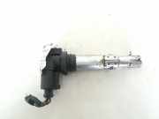 Zündspule Volkswagen Golf, V 2003.10 - 2008.10 036905715,