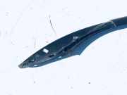 Dachreling Linke Volkswagen Passat, B5 1996.08 - 2000.11 Gebraucht, adr