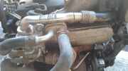 Abgaskühler AGR-Kühler Volkswagen Golf, V 2003.10 - 2008.10 038131513AD,03G131063E BKC