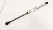 Gasdruckfeder Kofferraum Volkswagen Phaeton, 2002.04 - 2006 Gebraucht, BMK