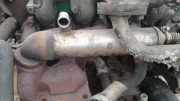 Abgaskühler AGR-Kühler Ford Focus, 1998.10 - 2002.10 Gebraucht ,