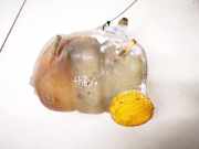 Ausgleichsbeh?lter Opel Vectra, B 2000.09 - 2002.04 facelift 90499809,