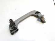 Haltegriff Haltegriff Verdeckgriff - Hinten Rechts Renault Scenic, I 1999.09 - 2003.06 facelift 1020007,