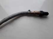 Lambdasonde - 5 Drähte WEISS GELB SCHWARZ GRAU ROT Audi A6, C6 2008.10 - 2011.08 facelift 03L906262,0281004083