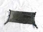 Wasserk?hler Renault Laguna, III 2007.10 - 2010.11 Gebraucht,