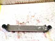 Ladeluftkühler Mercedes-Benz W245 2005 - 2011 a1695000000,q04g0976
