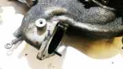 Ansaugkrümmer Hyundai Trajet, 2000.03 - 2008.07 Gebraucht,