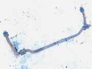 Stabilisator Stabi Hinten Hinterachse Volkswagen Sharan, 7M 1995.09 - 2000.04 Gebraucht,