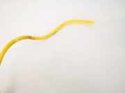 Airbag Sitz Honda Civic, 2001.01 - 2005.09 78000s5sg811m1,78000-s5s-g811-m1