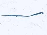 Windschutzscheibe Scheibenwischer Audi A3, 8L 1996.09 - 2000.10 1j1955410a,