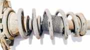 Fahrwerksfeder Hinterachse Nissan Primera, P12 2002.01 - 2008.12 Gebraucht,