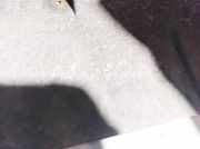 Radhausschale - Hinten Rechts Opel Meriva, A 2002.12 - 2006.01 Gebraucht,