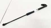 Gasdruckfeder Kofferraum Toyota Avensis, II 2006.03 - 2008.12 facelift Gebraucht ,